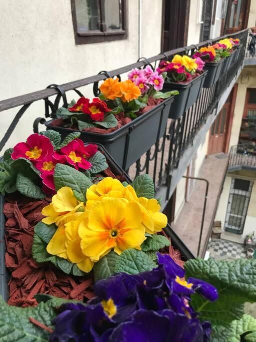 Perfect Location,Newly Decorated Modern, Large Place 60 M2, Really Quiet So You Can Have A Good Night Sleep, Ac, Netflix, Smart Tv, High-Speed Internet, World Famous New York Cafe Only 10 Minutes Walk Budapest Extérieur photo